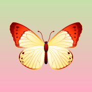 bdtowegfxocglr